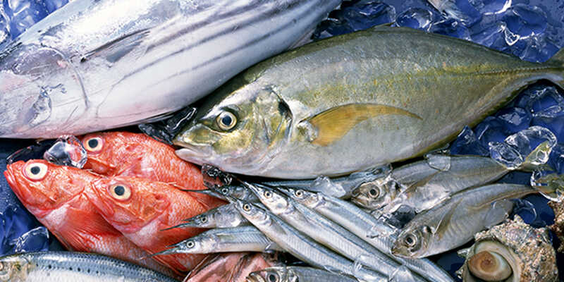 Tuỳ thuộc vào từng loại cá sẽ có hàm lượng calo khác nhau