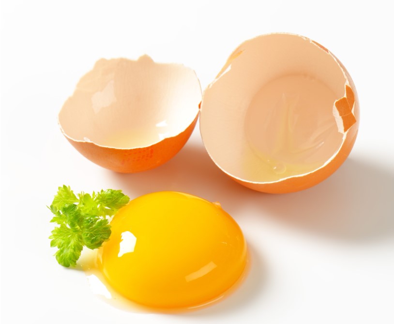 Ăn lòng đỏ trứng có béo phì?